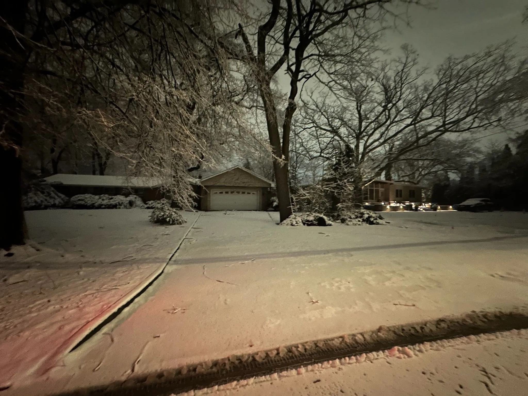 Walkway & driveway clearing — Before